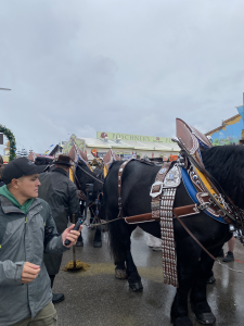 Oktoberfest23-16