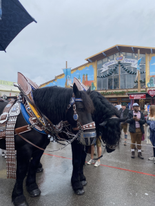 Oktoberfest23-17